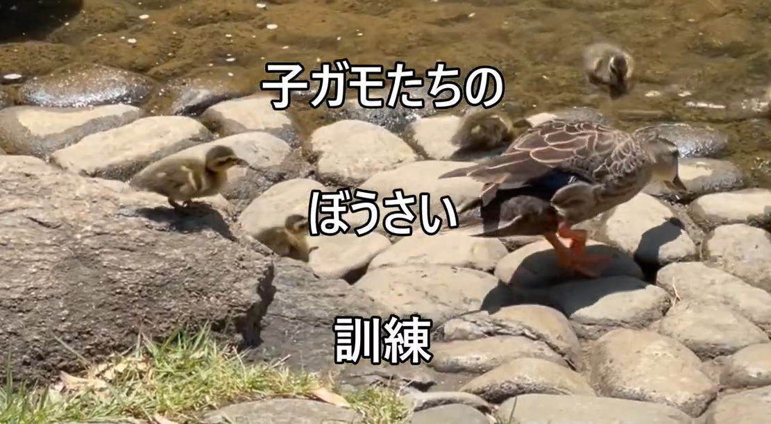 スマホとパソコン動画編集