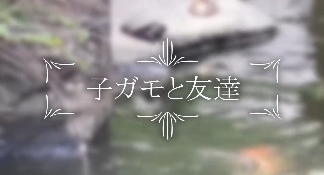 スマホとパソコン動画編集